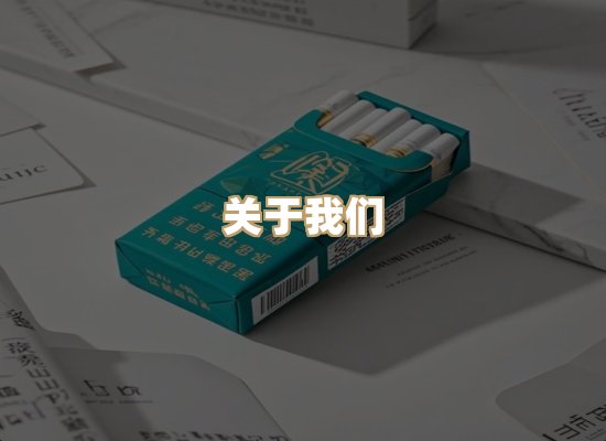 关于蓝帝网